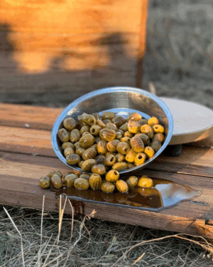 Izgara Zeytin