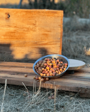 Yeşil Zeytin