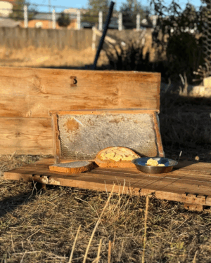Karakovan Balı (Glikozsuz)