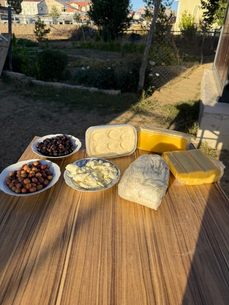 Tanışma Paketi